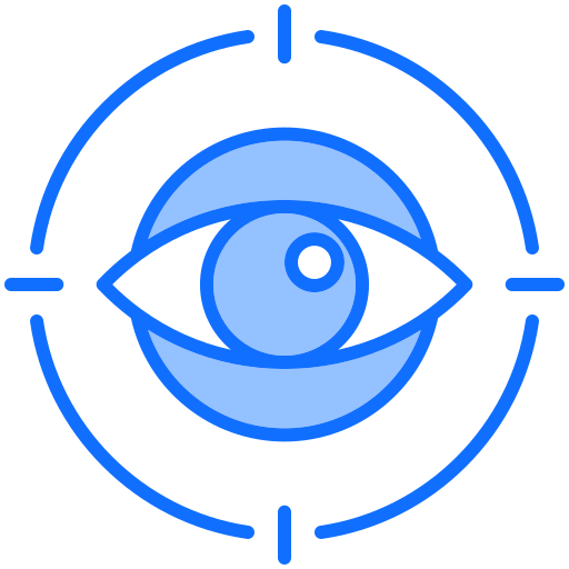 vision