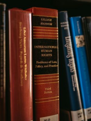 olasupoashaolusan - intellectual property